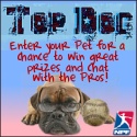 Top Dog